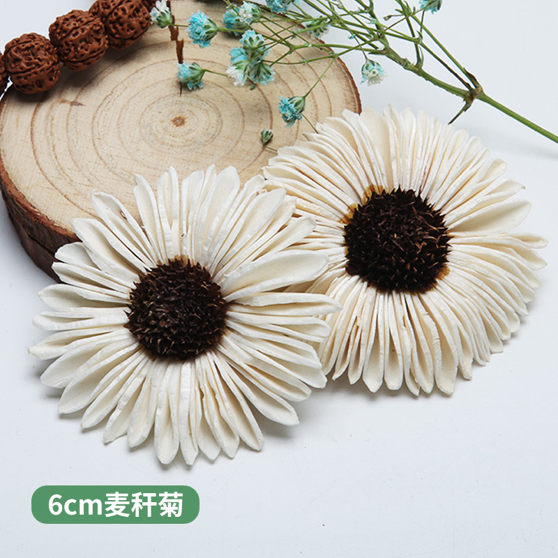 10PCS แอฟริกัน Daisy HAND-made - Home Decor Daisy บทวิจารณ์และราคา