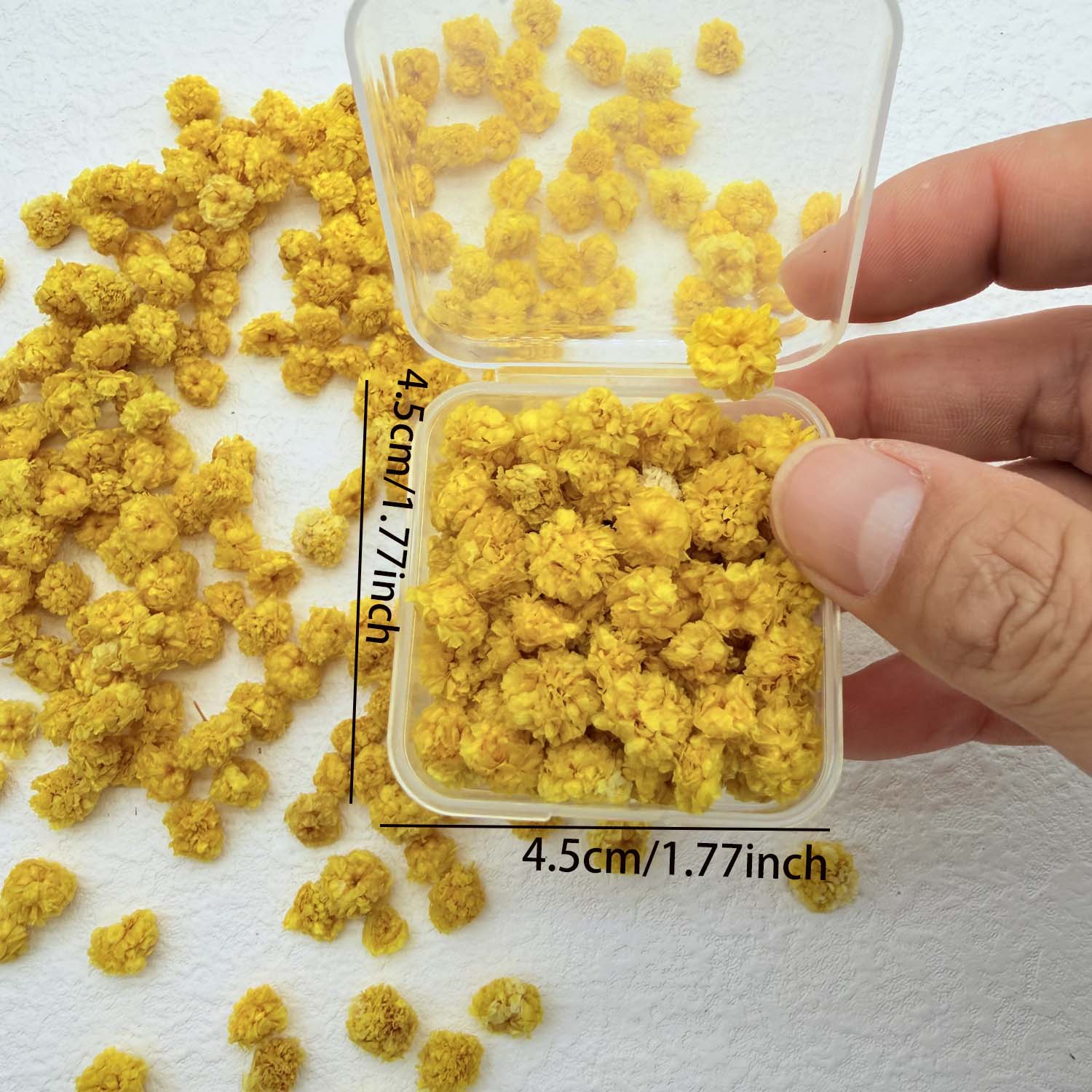 1 กล่อง หัวดอกไม้หลากสีสัน เที - Home Decor Daisy บทวิจารณ์และราคา