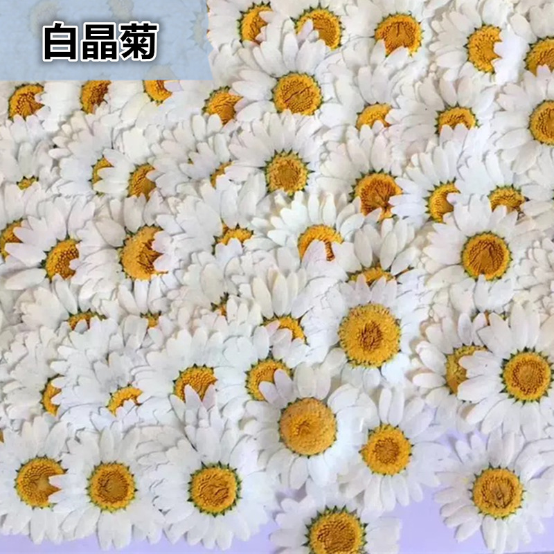 ดอกเดซี่คริสตัลสีขาวธรรมชาติ 1 - Home Decor Daisy บทวิจารณ์และราคา
