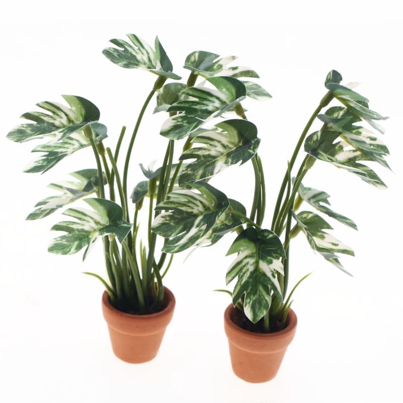 ใหม่! ต้นมอนสเตอร่าจำลอง 1 ชิ้ - Home Decor Green บทวิจารณ์และราคา